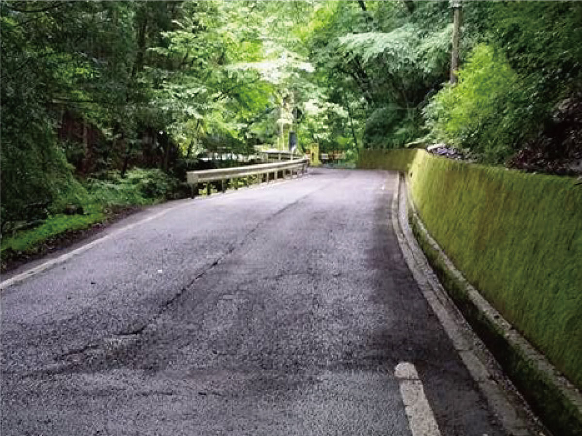 県道大滝上西線道路維持修繕工事